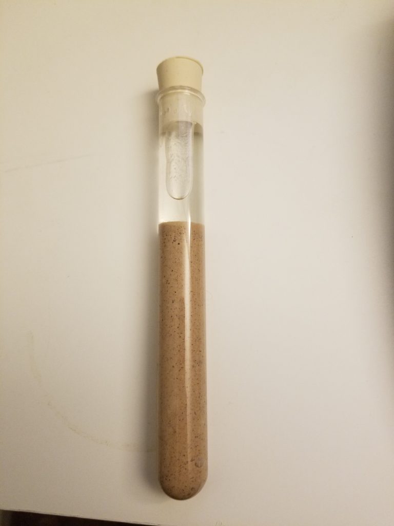 water sediment in a test tube